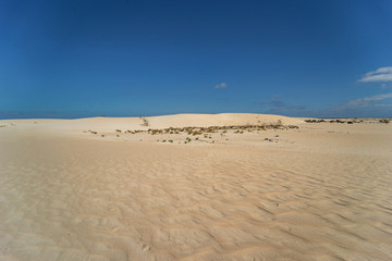 Desert of Fuerteventura at the Canary Islands of Spain