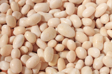 Big white kidney bean isolated on white background. Top view. Flat lay.