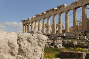 Obraz premium Athene