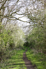 Fototapeta premium Remote country path leading into the distance