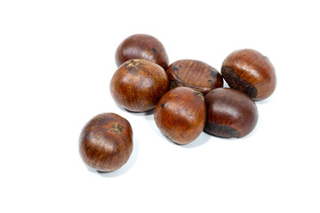 Roasted horse chestnuts isolated on white background.