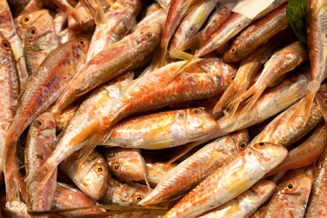 Fish on the local market