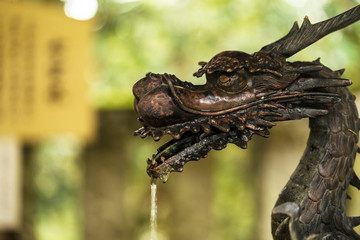 Fototapeta premium 手水舎の龍
