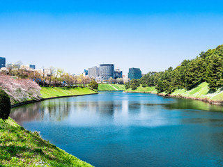 皇居　桜田濠