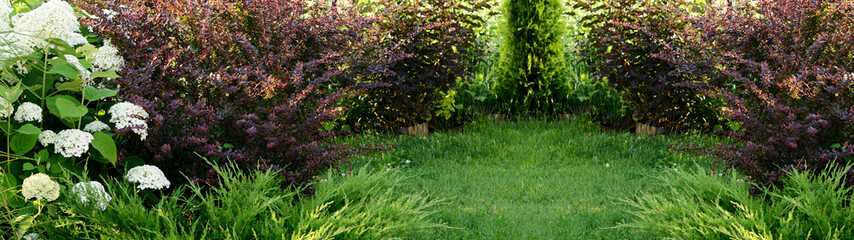 Summer garden with flowers bushes and green grass
