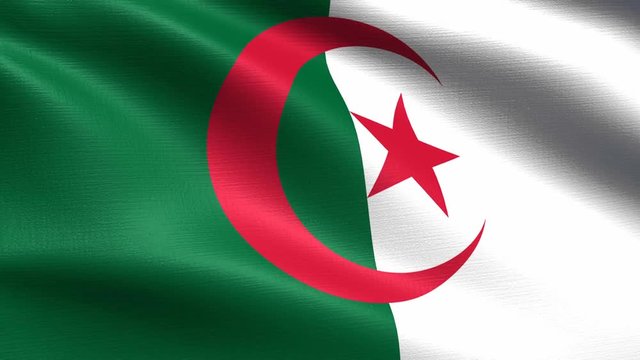 Realistic flag of Algeria, Seamless looping with highly detailed fabric texture, 4k resolution