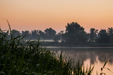 Fog over the river. Taromske. Ukraine
