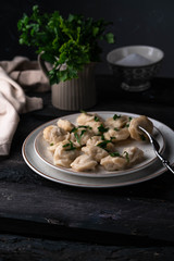 dumplings, pastry with a filling, on a rustic plate, dark wooden backdrop, parsley on background
