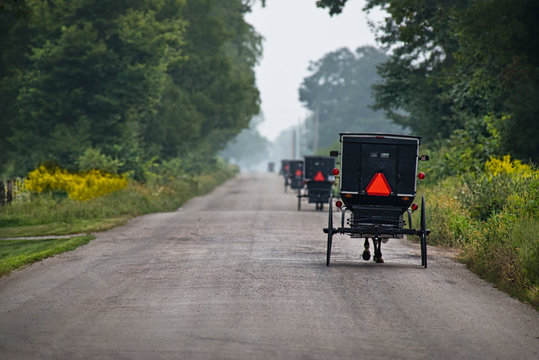 Amish Buggies On Rural Road