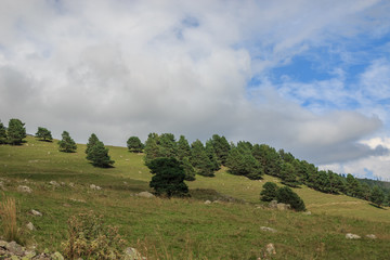 Panorama view of forest and mountains scenes in national park Dombay