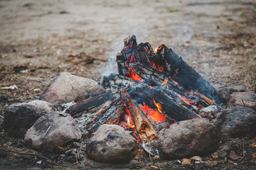 Closeup of bonfire in the wood