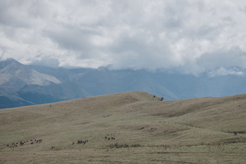 Panorama view of mountains and valley scenes in national park Dombay