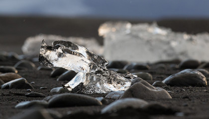 Amazing transparent blue iceberg pieces on Diamond beach with black sand near Jokulsarlon lagoon, Iceland. Ice calving. Black and white contrast.