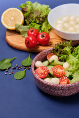 fresh vegetables and a bowl of salad with mozzarella on a blue background.  Caprese salad . Lettuce, cherry tomatoes, mozzarella, 