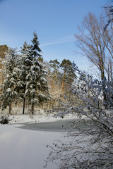 walking in the winter