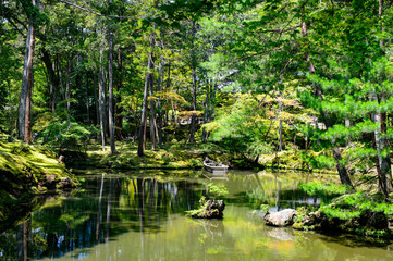 京都　苔寺