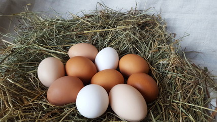 Fresh chicken eggs of different colors lie in a pile on the hay. Farming and household. Preparation for Easter. Farm lifestyle in the countryside