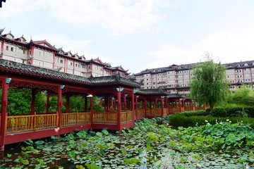 Naklejka premium Lotus Pavilion and Lotus