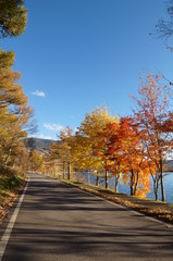 Naklejka na ściany i meble Highland Lake Autumn leaves
