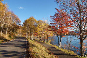 Fototapeta na wymiar Highland Lake Autumn leaves