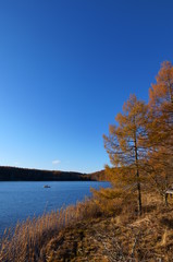 Highland Lake Autumn leaves