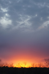 Fototapeta na wymiar Fiery Sunset