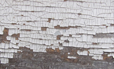 Cracked white oil paint on wood texture