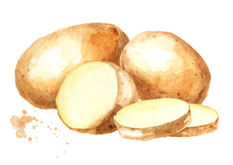 Cut raw potatoes vegetables. Watercolor hand drawn illustration, isolated  on white background