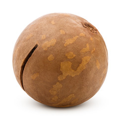macadamia, nut, isolated on white background, clipping path, full depth of field