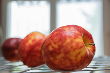 Ripe, colorful mottled apples on a grate and background of a bright window.