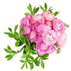 Bouquet of ranunculus flower isolated on a white background.  Beautiful buttercup spring flower for wedding invitations, greeting Valentine’s Day  card..