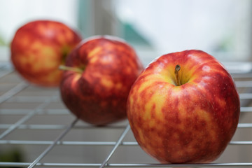 Ripe, colorful mottled apples on a grate and background of a bright window.