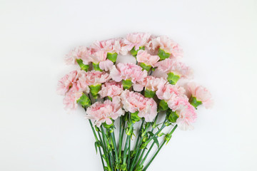 아름다운 봄 꽃, 리빙코랄 컬러 카네이션,안개꽃,장미