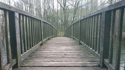 Holzbrücke im Möllner Wald