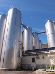 Giant shiny tanks with catwalks at a craft beer brewery operation