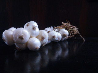 white onion branch for social media template