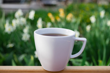 Beautiful morning,  cup of coffee and  of bright and beautiful daffodils