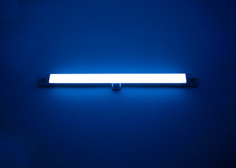 Fluorescent lamp 1509_blue
