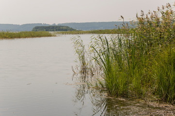 Wide blue river slow flowing across the green meadow and mountains with no reflections. A lot of tall grass around. Summer time