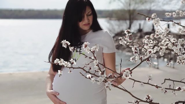 Young pregnant woman enjoying the beautiful flowers on the tree. Happy pregnant woman is thinking about future motherhood on the river background. Woman at 36 weeks gestation (9 month).