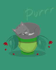 postcard with ute cat. The pet sleep in a potty pot. Cartoon image. Vector illustration.