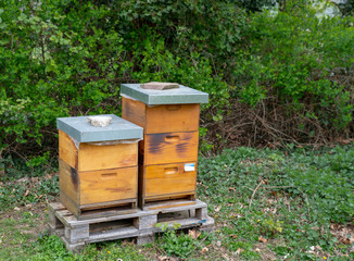 Bienenkästen am Rand eines Friedhofes