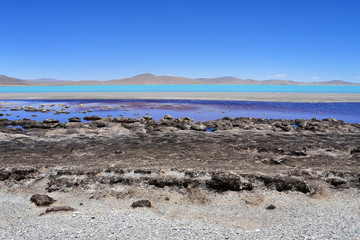 Fototapeta na wymiar Lakes of Tibet. Lake of Sam Co in summer in clear weather