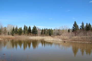 Early Spring On The Lake, Gold Bar Park, Edmonton, Alberta