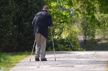 walking in the park