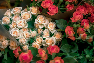 The composition of beige and red roses.