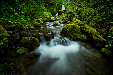 The magical landscapes and waterfalls with sunsets of the Pacific North West Chilliwack and Bowen Island BC along with rain forests and pure nature scenics