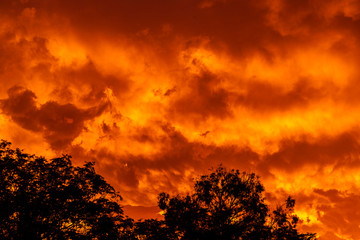 Fototapeta premium Clouds on fire from burning hot red sunset.