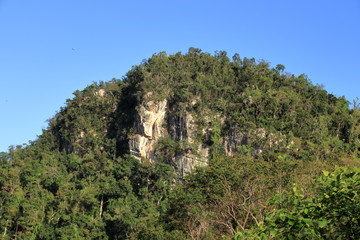 Fototapeta na wymiar Tropical cliff