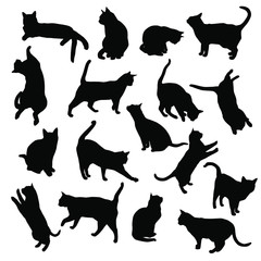 Set vector silhouettes of the cat, different poses, standing, jumping and sitting,  black color, isolated on white background